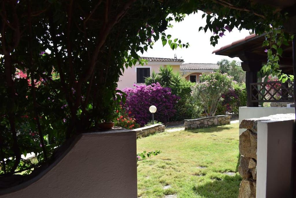 Vaccileddi Splendida Villetta Tavolara 3 מראה חיצוני תמונה